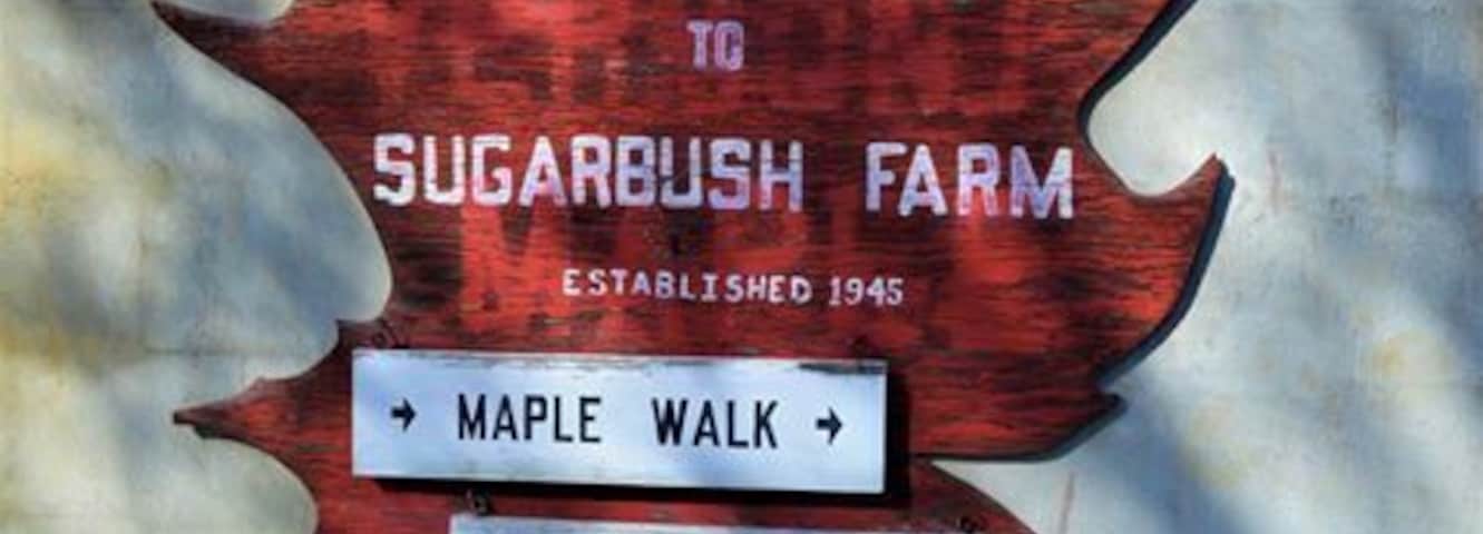 Worth the backwoods drive to this little gem. Free cheese and syrup testing. Tasted an 8 year old sharp cheddar cheese. Stop by the store and grab a few bottles of pure maple syrup.
