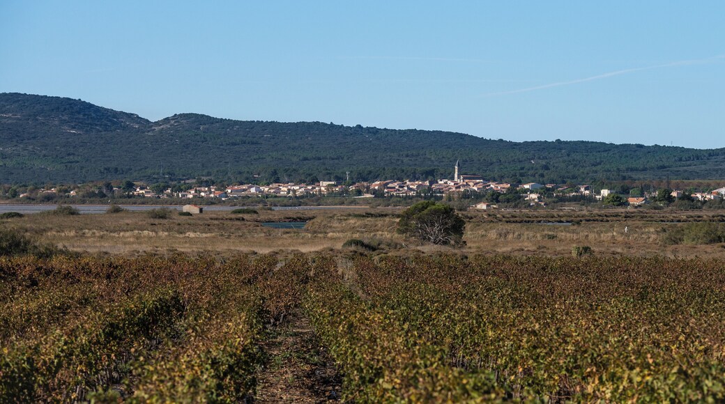 Mireval from the East in Villeneuve-lès-Maguelone, Hérault, France.