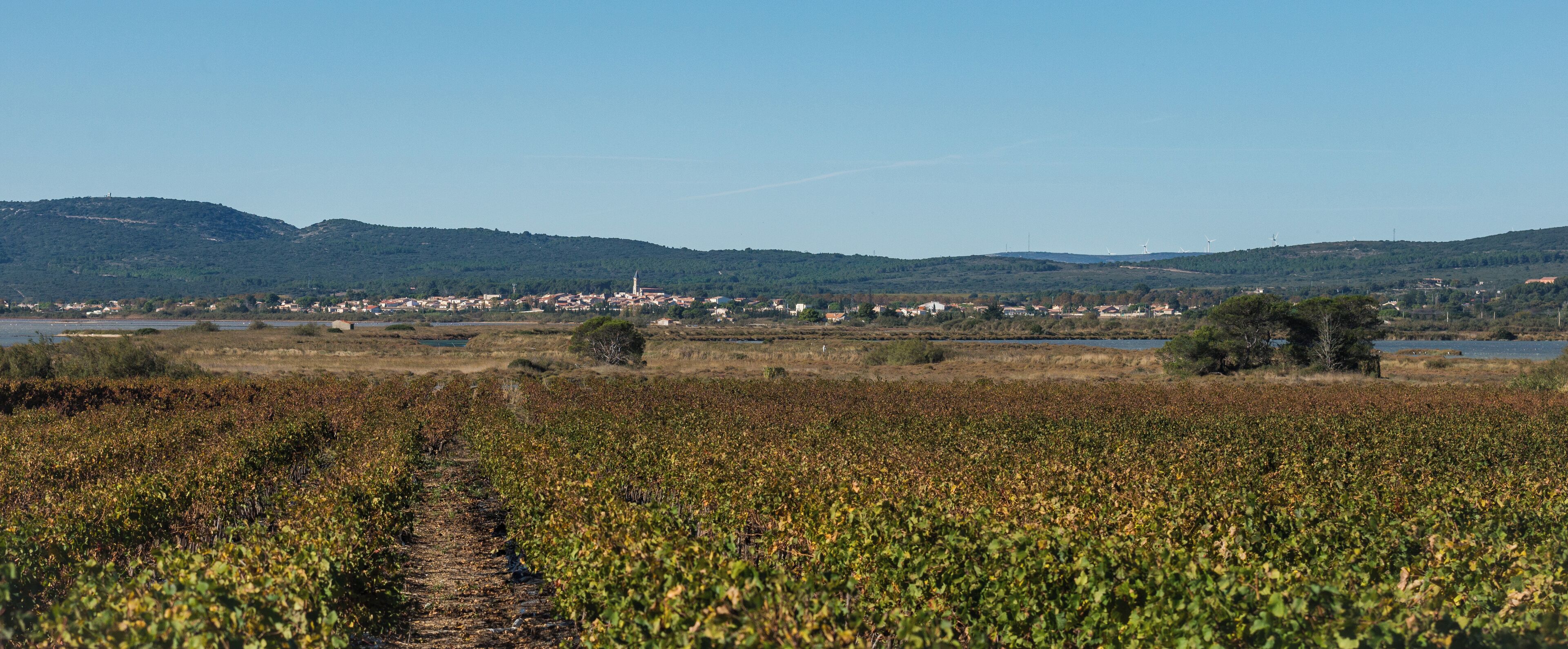 Mireval from the East in Villeneuve-lès-Maguelone, Hérault, France.