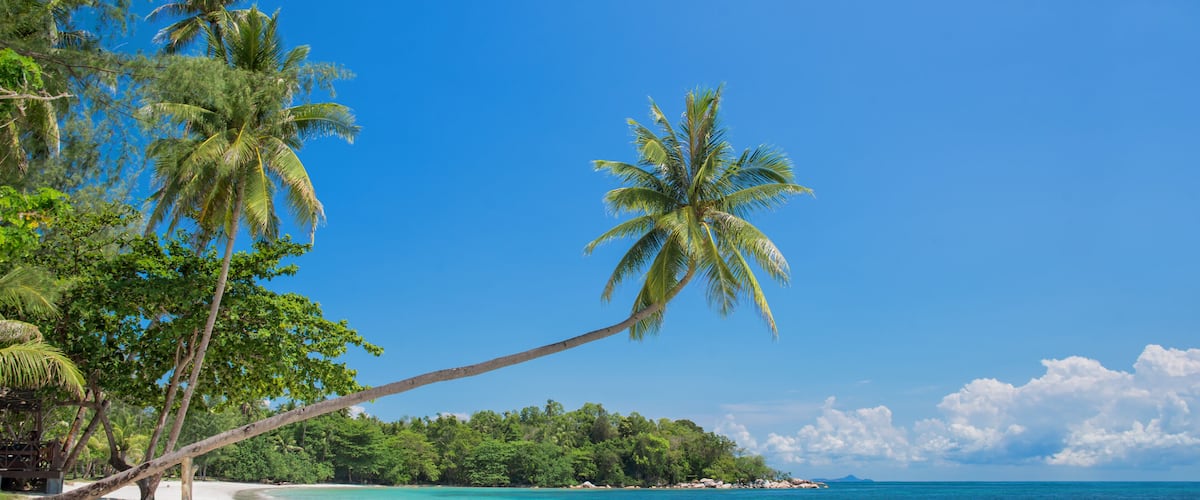 Tropical beach landscape with a leaning palm tree on Bintan island, Indonesia, Shutterstock ID 281490740, Purchase Order: SP-1869, Order Number: SP-1869 Go Guides Hotels.com, Client/Licensee: Hotels.c