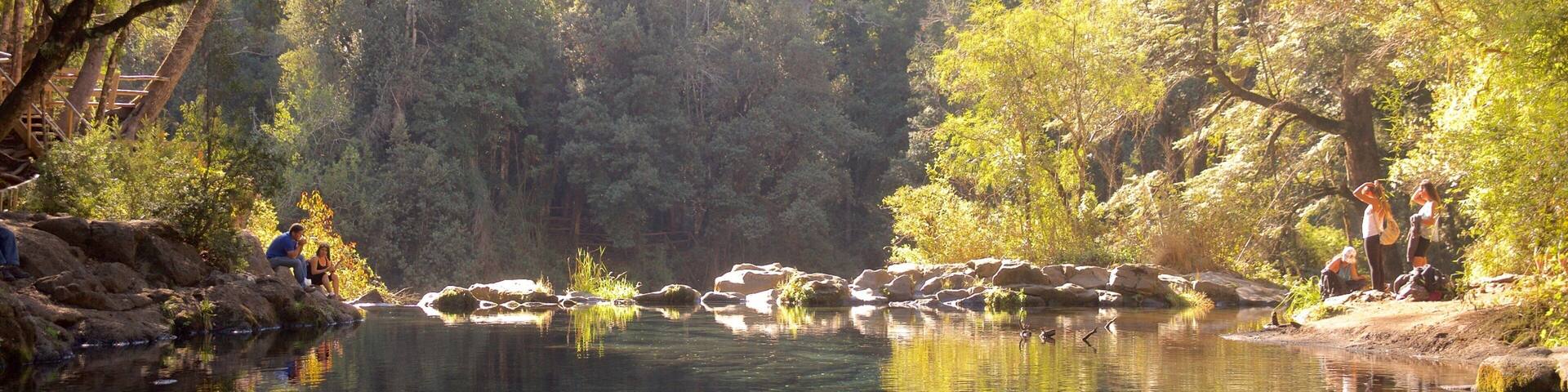 Ojos del Caburga which includes a lake or waterhole and rainforest