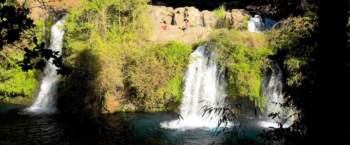 Ojos del Caburga que inclui floresta tropical, uma cascata e um lago ou charco