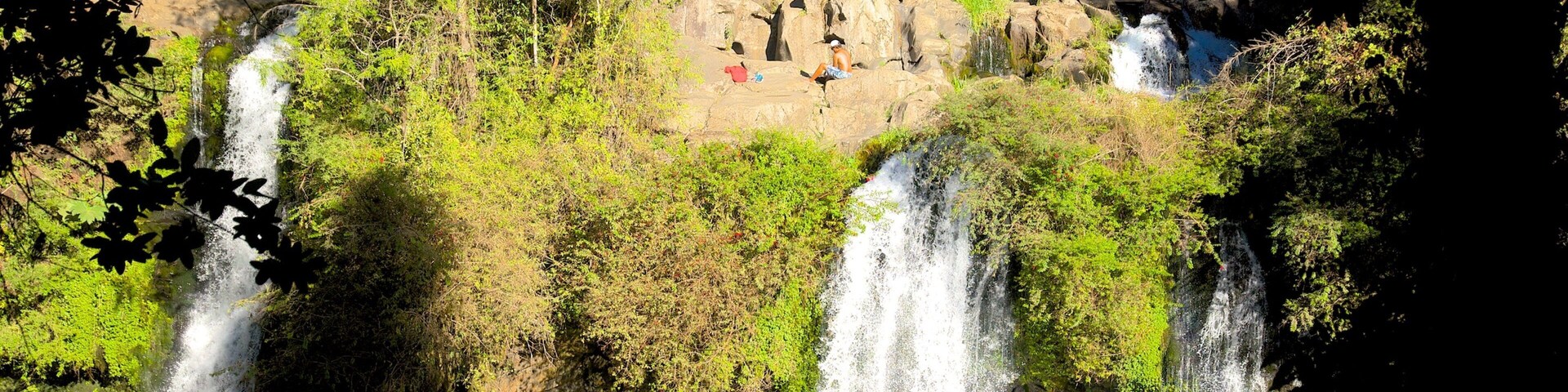 Ojos del Caburga ofreciendo selva, una catarata y un lago o abrevadero
