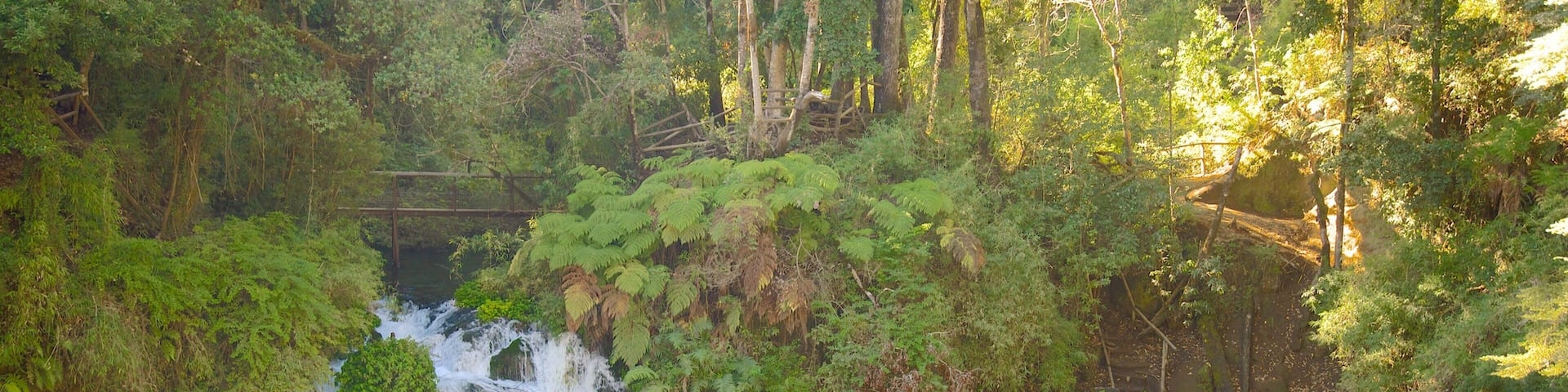 Ojos del Caburga featuring a cascade, a lake or waterhole and rainforest
