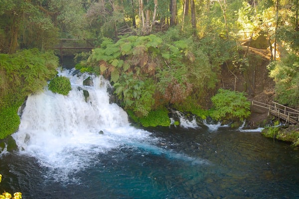 Ojos del Caburga which includes rainforest, a waterfall and a lake or waterhole