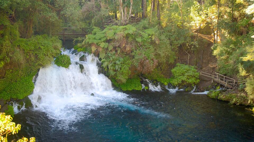 A waterfall cascading into a river surrounded by lush greenery and a wooden bridge.