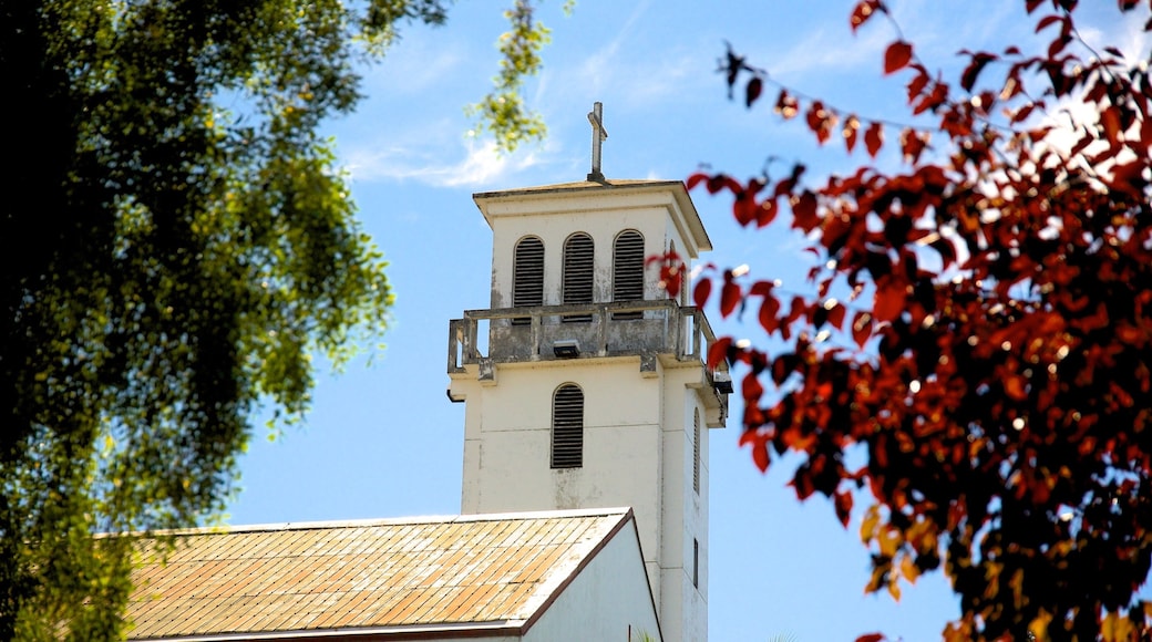 Catedral de Villarrica which includes a church or cathedral