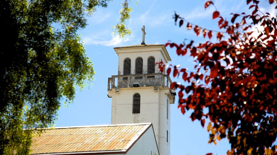 Catedral de Villarrica ofreciendo una iglesia o catedral