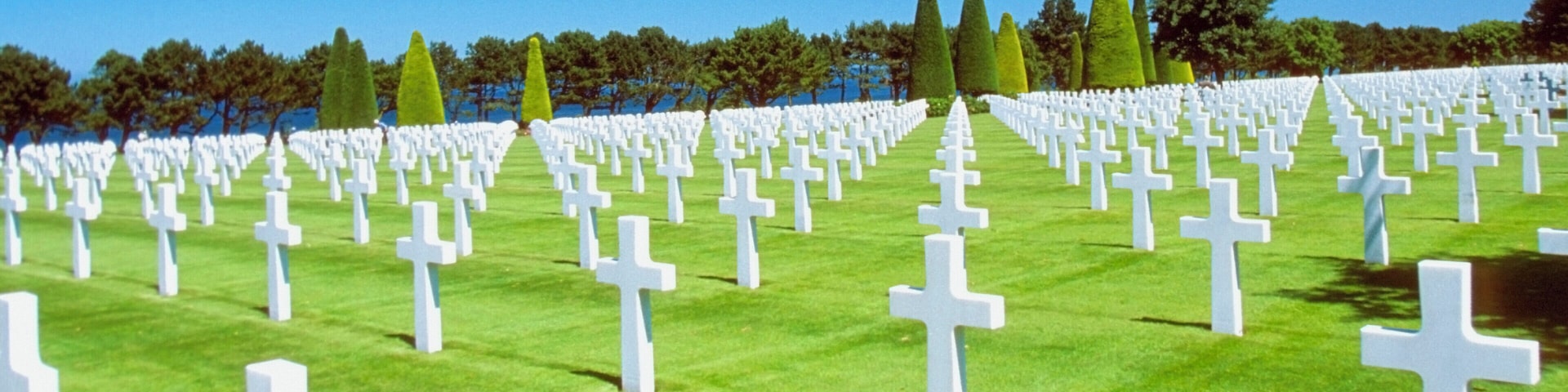 Crosses in a cemetery, Normandy American Cemetery, Normandy, France