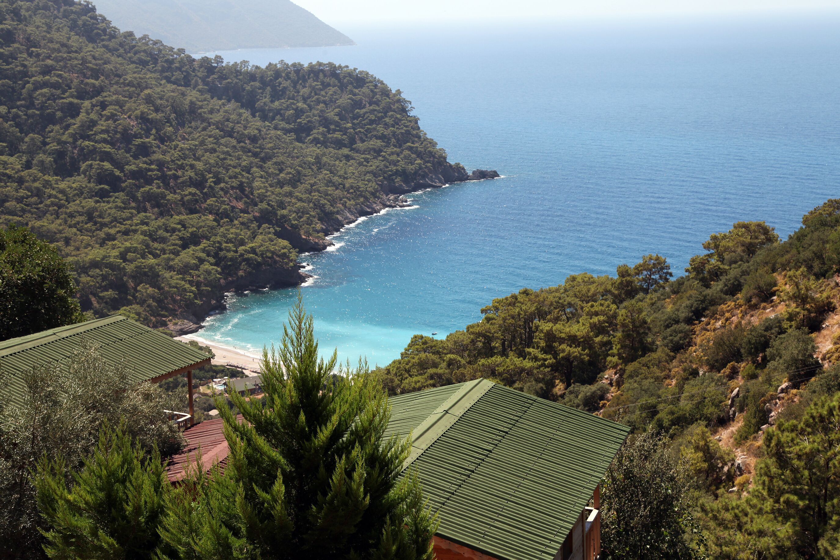 Un paysage côtier comprenant une plage, une forêt dense et une maison avec un toit végétalisé.