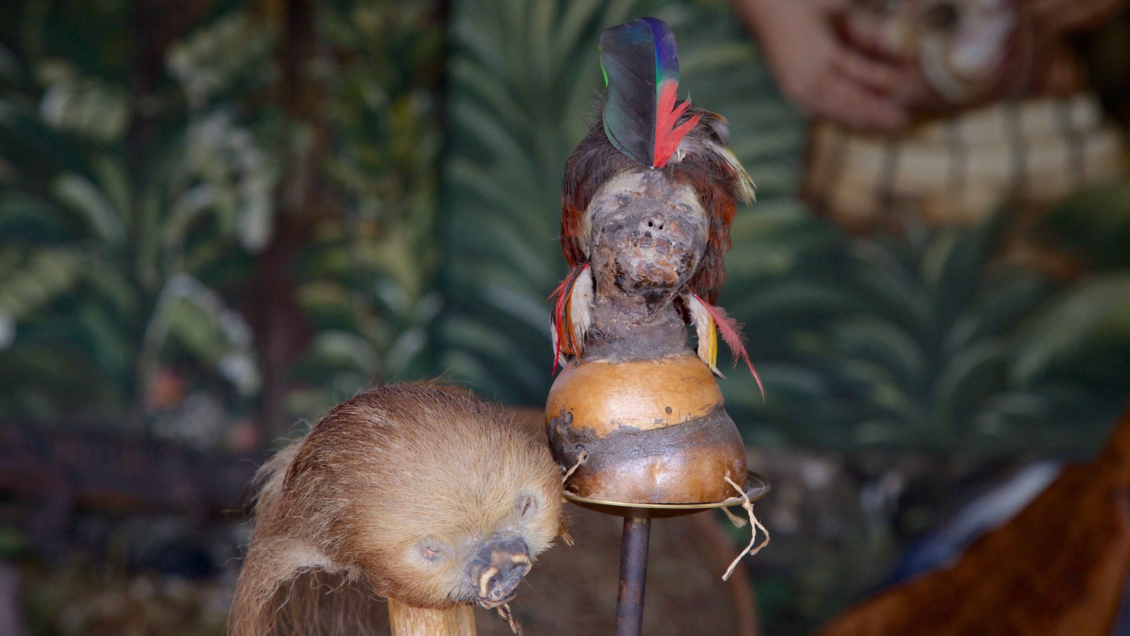 Museo Intiñan som inkluderer urfolkskultur og innendørs