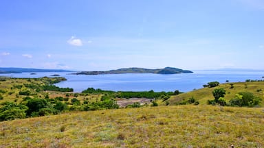 A coastal landscape with a large body of water, green hills, and scattered trees.