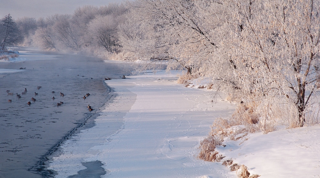 388-61 DuPage River in Winter