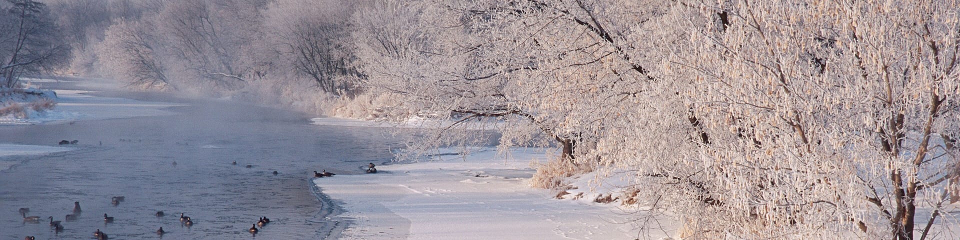 388-61 DuPage River in Winter