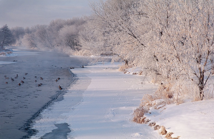 388-61 DuPage River in Winter