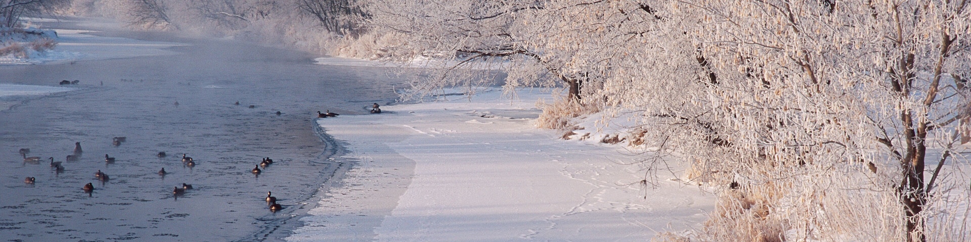 388-61 DuPage River in Winter