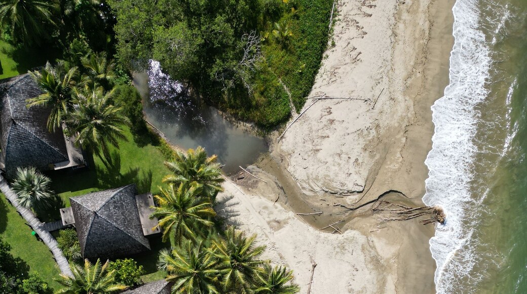 Aerial top view shot of a Poindimie beach river with houses in New Caledonia