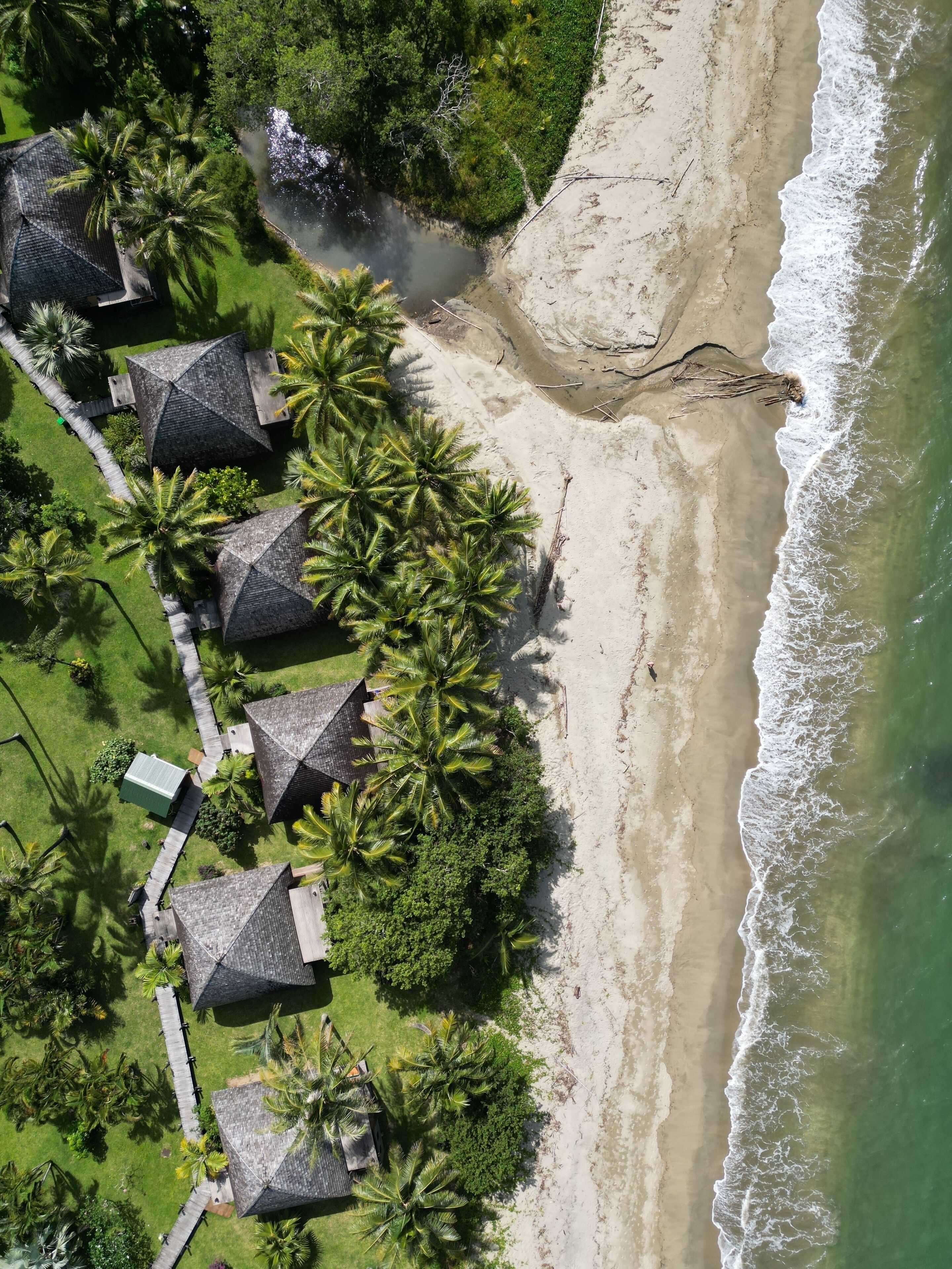 A beach with palm trees and thatched-roof huts.