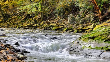 Great Trough Creek as it flows through the Pennsylvania mountainside before emptying into Lake Raystown in Huntingdon County, Pennsylvania