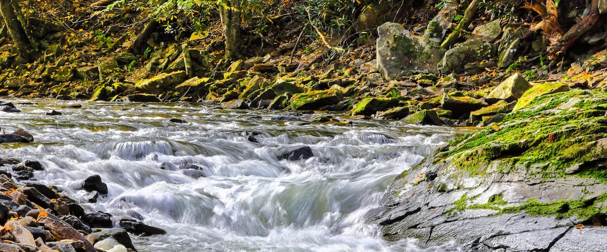 A fast-flowing river with rocks and moss-covered banks, surrounded by autumn-colored trees.