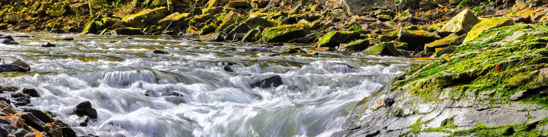 A fast-flowing river with rocks and moss-covered banks, surrounded by autumn-colored trees.
