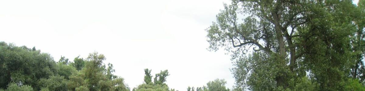 Ketsch, bridge to Ketscher Rheininsel