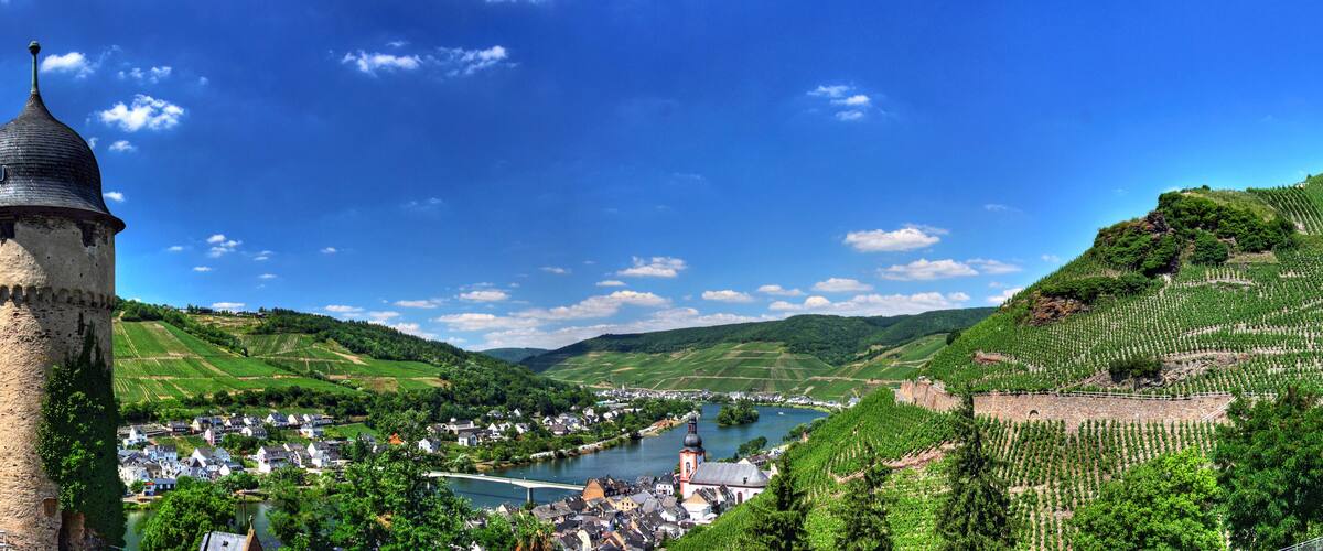 A tower, vineyards, a river, and a town.