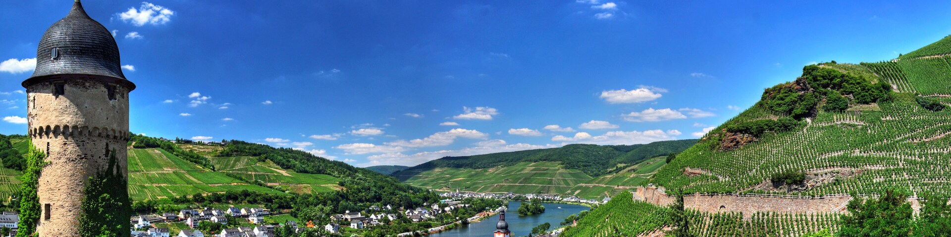 A tower, vineyards, a river, and a town.