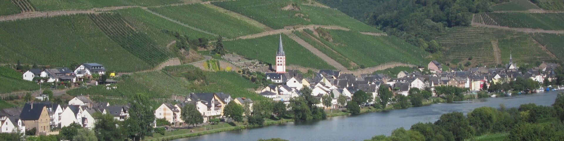 Panoramic view at Merl village at the Mosel river