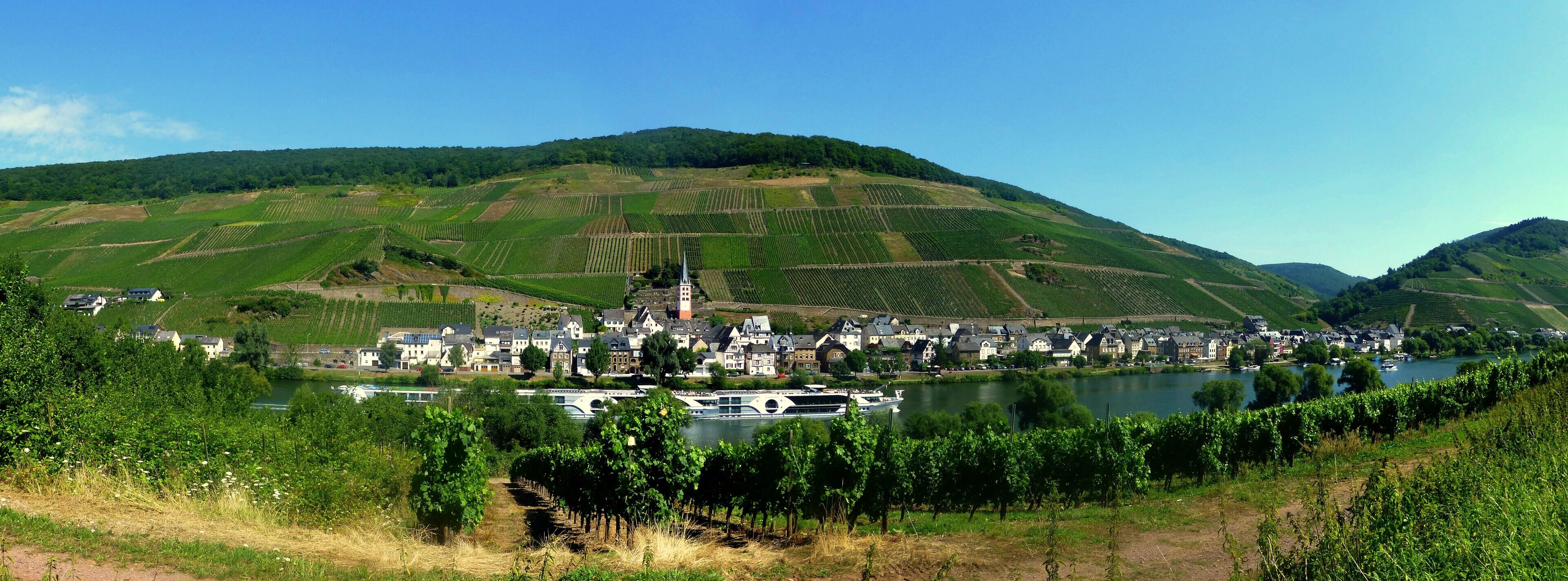Merl an der Mosel