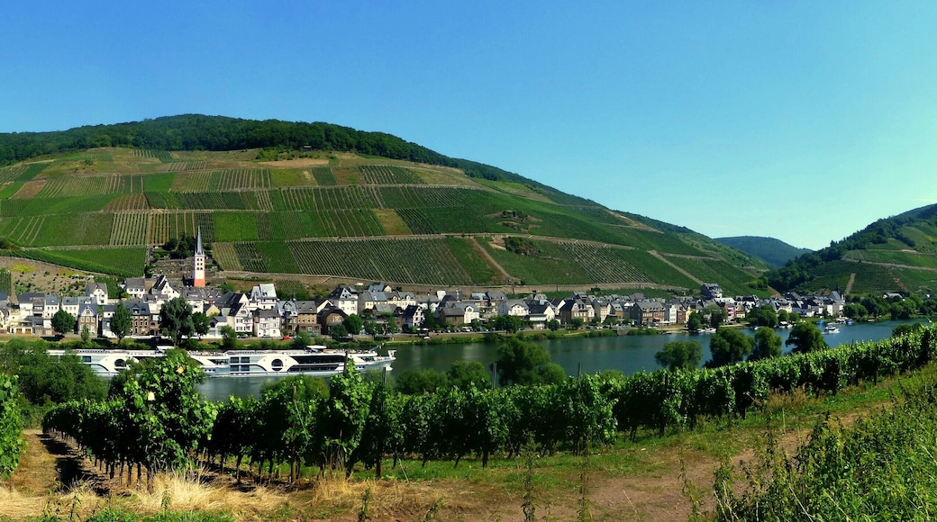 Merl an der Mosel