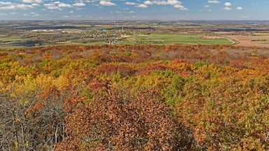 Fall across the Farmland