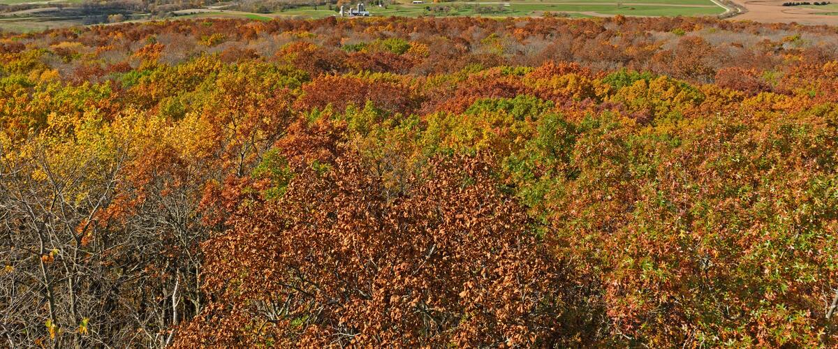 A landscape with autumn foliage, a distant town, and a clear sky.