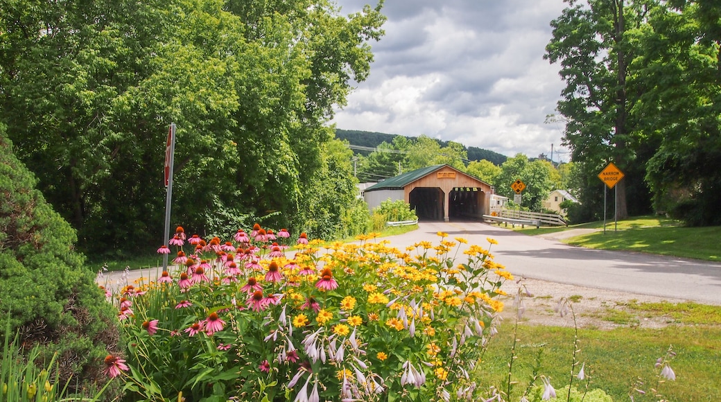 Puente cubierto Pulp Mill