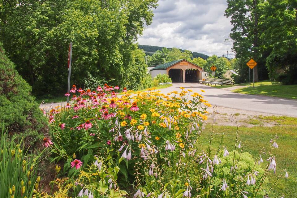Uma estrada rural com a entrada de um túnel, rodeada por flores vibrantes e vegetação exuberante.