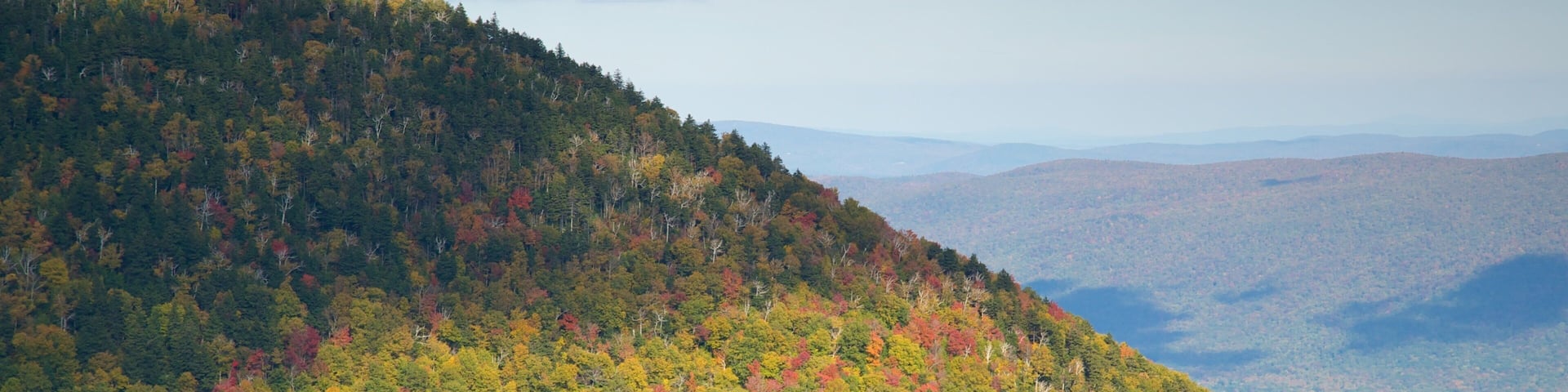 Mount Equinox featuring autumn colours, tranquil scenes and forest scenes