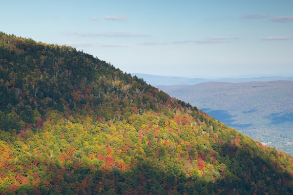 Mount Equinox featuring autumn colours, tranquil scenes and forest scenes