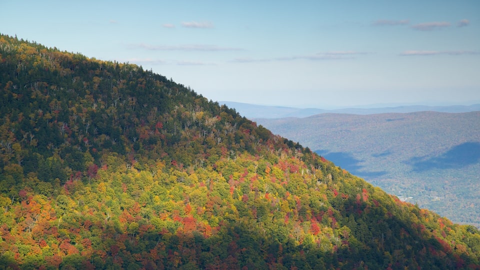 A forested mountain with autumn foliage.