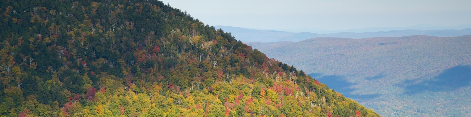 Mount Equinox which includes tranquil scenes, autumn leaves and forest scenes