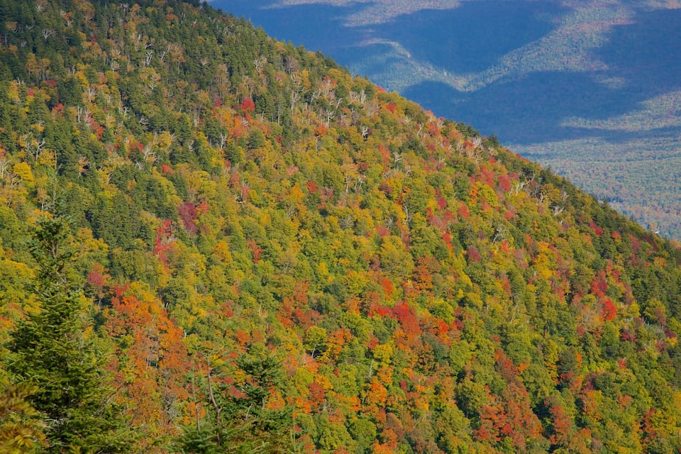 A mountain with autumn foliage.