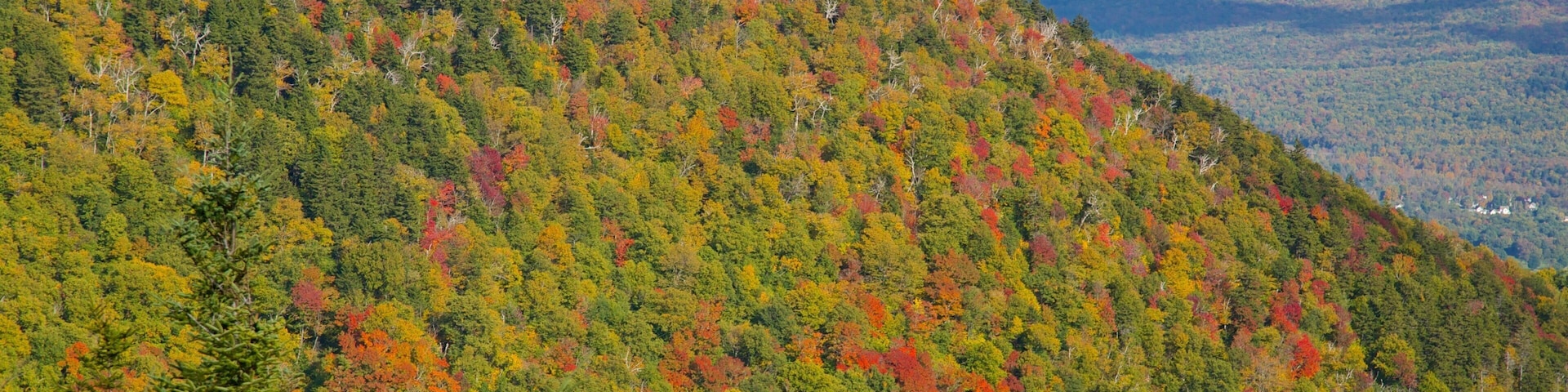 厄奎諾克斯山 其中包括 森林, 寧靜風景 和 秋色