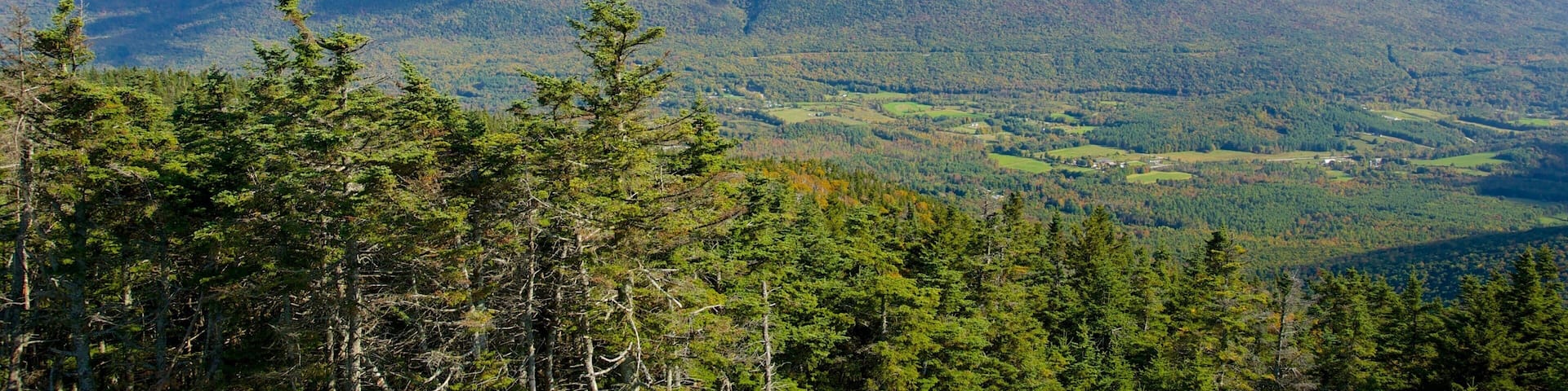 A mountainous landscape with dense forests and a clear blue sky.