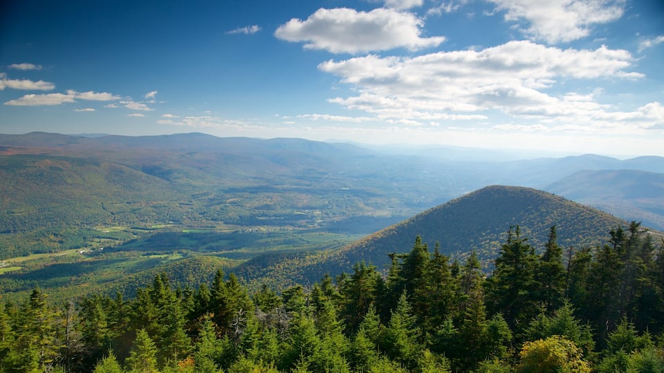 A mountainous landscape with dense forests and a clear blue sky.