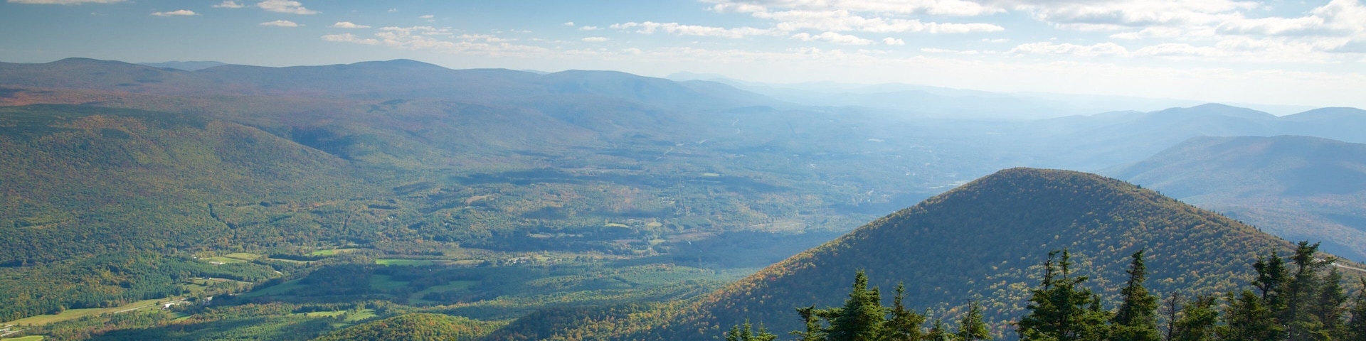 Mount Equinox mostrando florestas, cenas tranquilas e paisagem