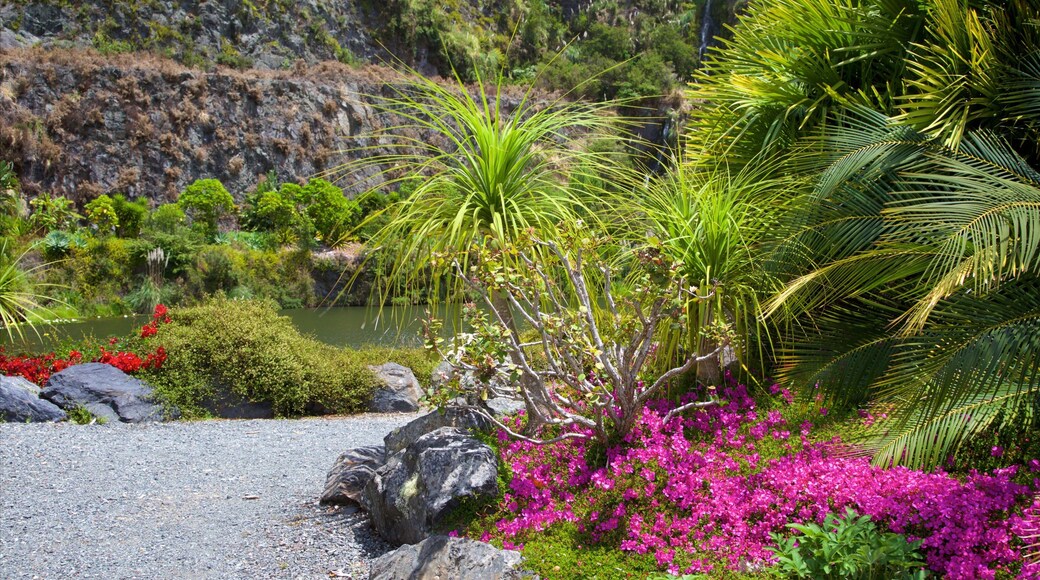 旺阿雷礦場花園 设有 公園