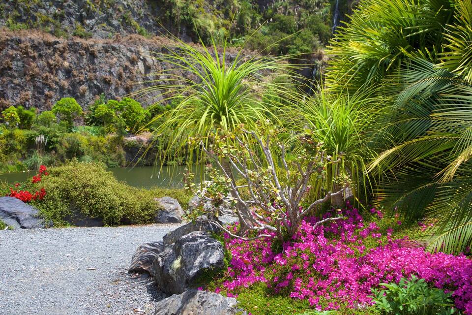 Jardim com paisagismo, lago, pedras e diversas plantas, incluindo buganvílias cor-de-rosa e palmeiras.