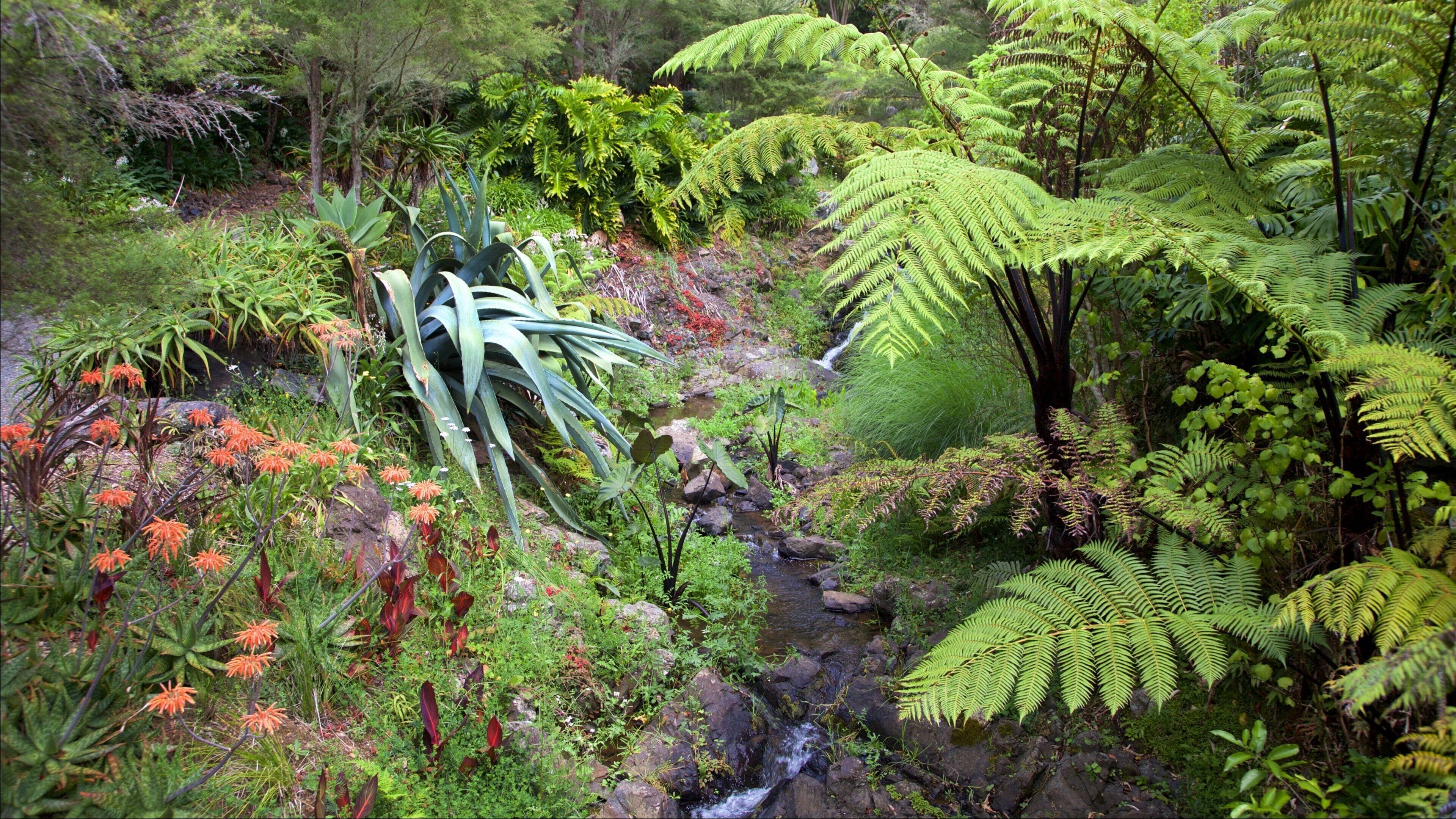 Jardines Whangarei Quarry mostrando un parque
