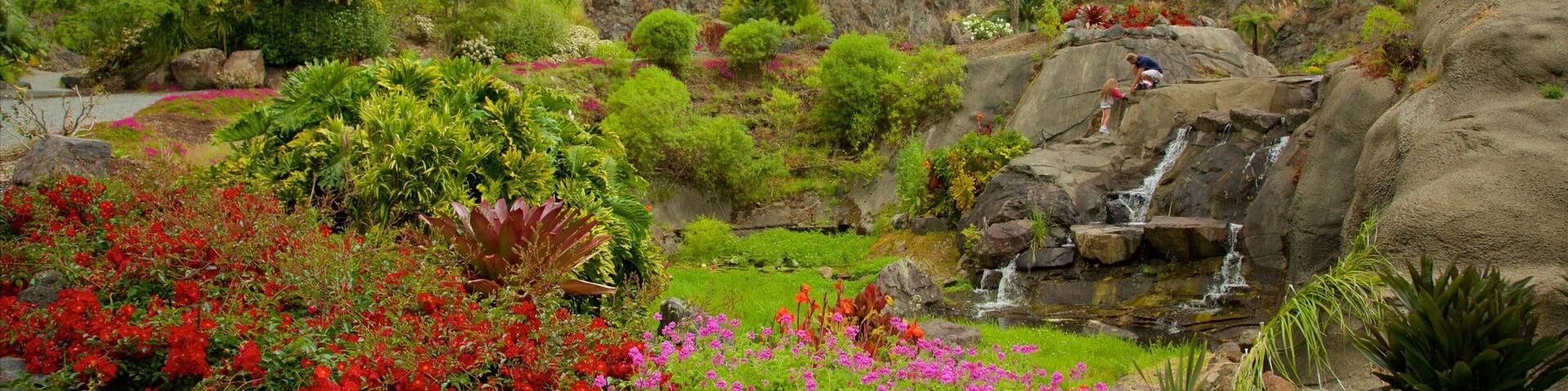 Whangarei Quarry Gardens which includes a garden