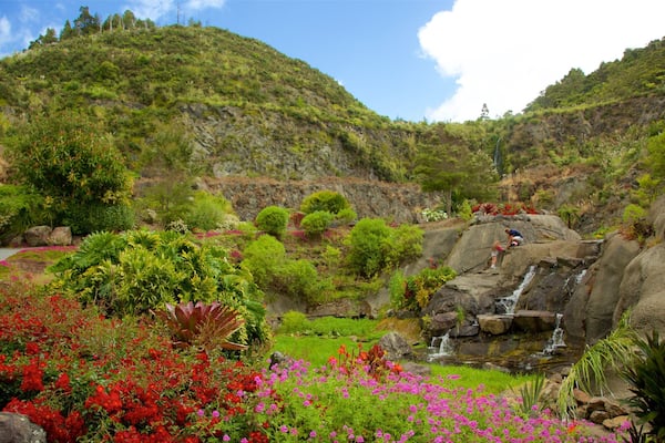 Whangarei Quarry Gardens which includes a park