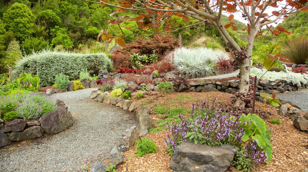 Jardines Whangarei Quarry mostrando un parque